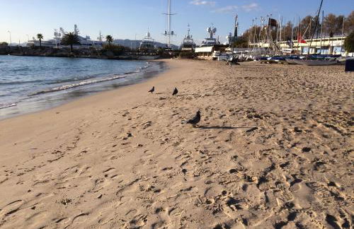 Résidence Le Président - Forville - Foto 26