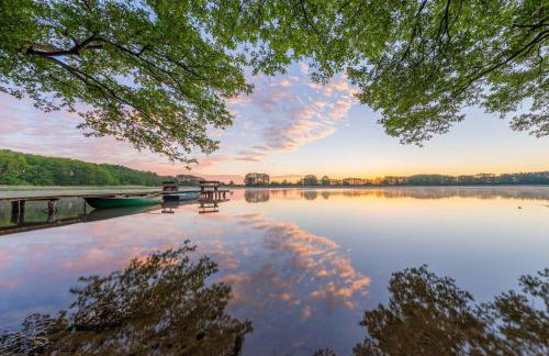 Graureiher - Gemütliche Ferienwohnung mit Sauna, Bootsverleih & Naturerlebnis - Foto 12