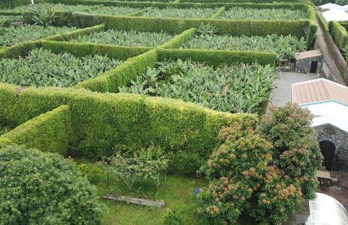 Quinta do Avô - Photo 18