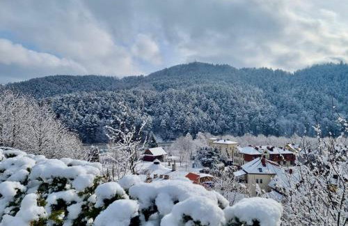 Apartamenty Piwniczna-Zdrój Rynek - Foto 35