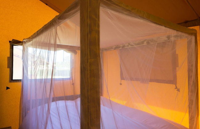 Cozy Glamping in Mierlo - Photo 2