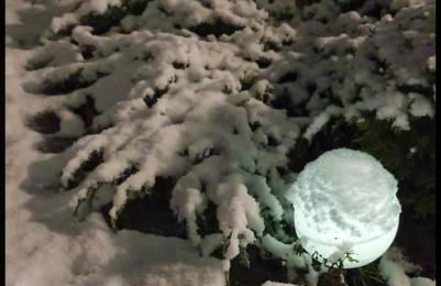 Ferienhaus Gesindestube Trusetal - Foto 45