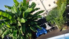 Apartmenthaus Wertheim - Foto 5