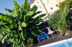 Apartmenthaus Wertheim - Foto 5