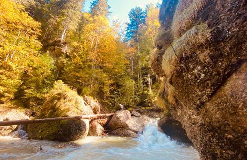 Gipfel Stuben - Foto 30