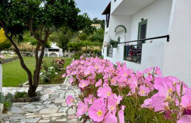 Irene Studios - Foto 5