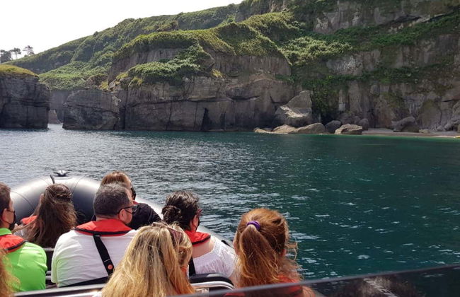 Balade en bateau à moteur sur la côte de Gijón - Photo 3