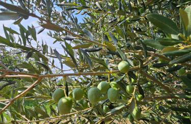 Apartment Milada - Photo 7