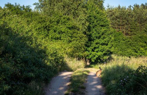 Butterfly Factory - Foto 46