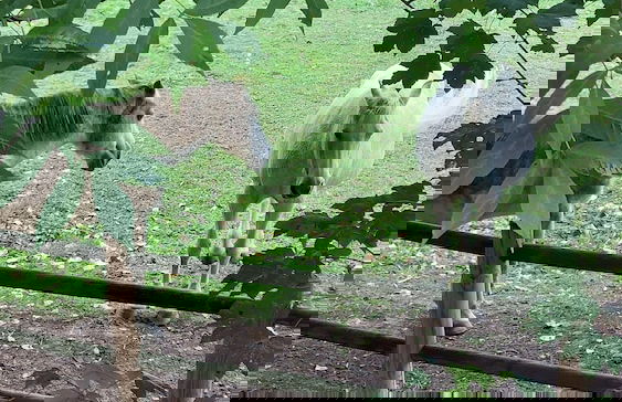 Résidence Fleuve - Foto 26