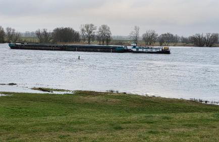 Elbblick Schnackenburg - Foto 28