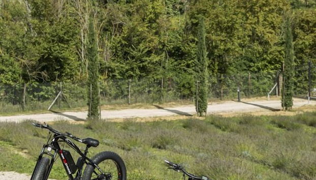 Agriturismo Merigge Wellness & Spa Montepulciano - Foto 5, Rezeption