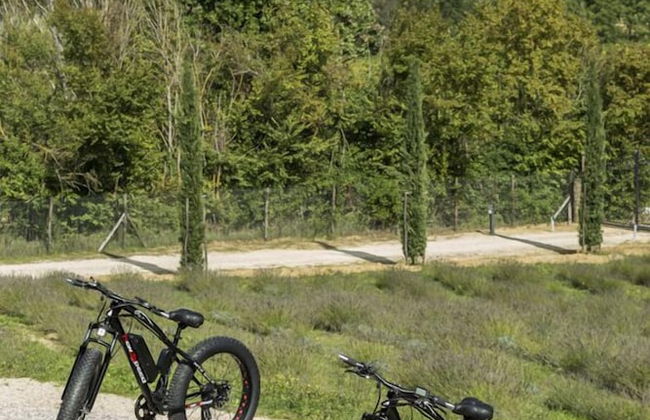 Agriturismo Merigge Wellness & Spa Montepulciano - Photo 5