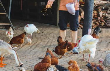 Esphera Glamping - Gravataí - RS - Foto 153