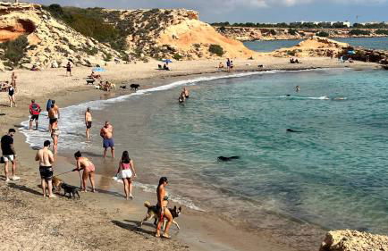 Punta Prima - Charming Spanish Apartment with South-Facing Terrace by the Sea - Foto 47