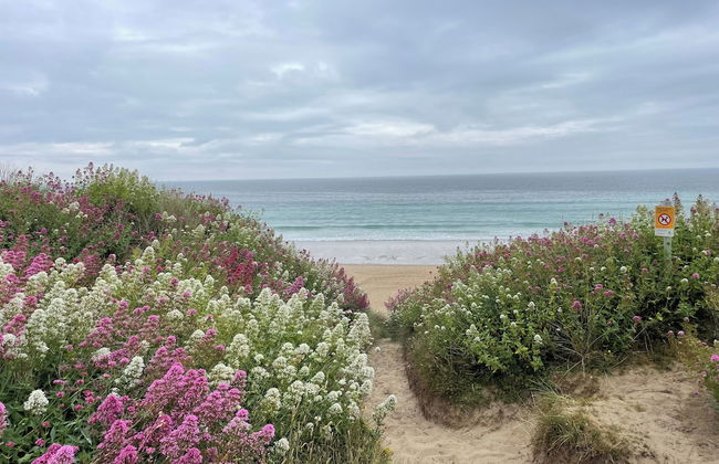 Pottsville Cabin - Short Walk to Praa Sands Beach - Photo 17