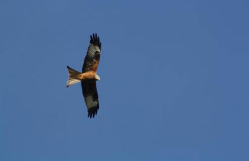 The Rectory Lacock Cottages - Foto 17