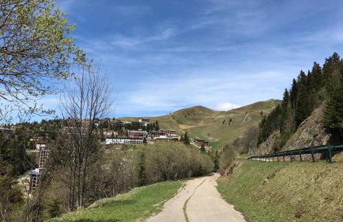 Appartement Chamrousse le Vernon - Foto 27