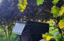 Ferienwohnung Möwennest - Photo 32