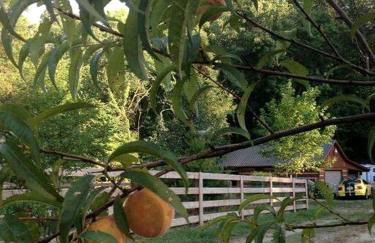 Tranquil Cabin with Hot Tub & Creek Views Near Bass Pro, Kodak Tennessee - Foto 25