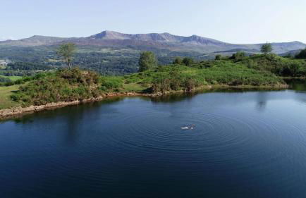 Swn y nant Barmouth road A496 Llanelltyd - Foto 12