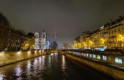 Appartement Haussmannien Saint Michel Notre Dame - Foto 22