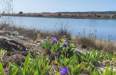 Les pieds dans l'eau aux Mers du Sud - Gruissan Les Ayguades - Foto 14