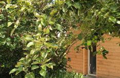 Concept Appart'Hôtel Lannion - Côte de Granit Rose - Photo 16