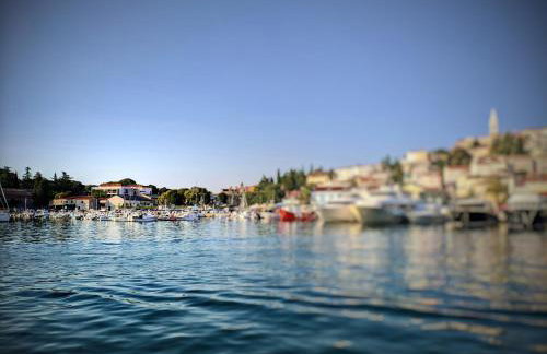 Romana Soul - Foto 37