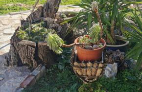 Hvar Mediterranean Ranch House - Foto 21