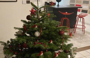 Au nom de la rose, beau 3 pièces en centre-ville - Foto 61