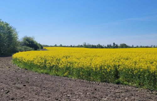 Gute Stube - Foto 16