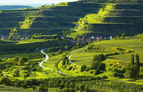 Domizil-Kaiserstuhl - Foto 23