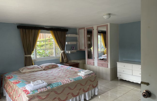 Pirate Palms - Foto 4