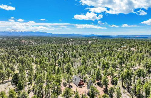 Slope Summit Rustic A-Frame Cabin w Scenic Views - Photo 36