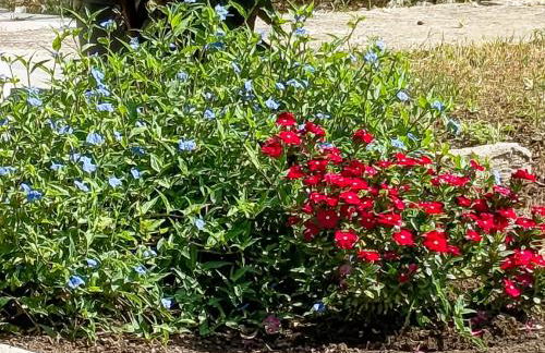 Kosaris Cottage - Foto 13