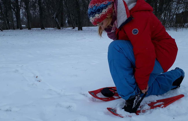 Tallinn Snowshoe Hiking Tour - Foto 3