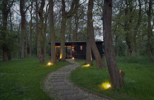 The Woods - Luxury cabin in a woodland setting - Foto 19