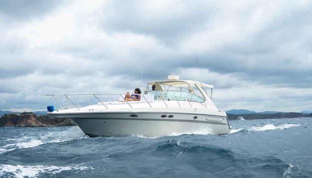 Balade en bateau dans les baies