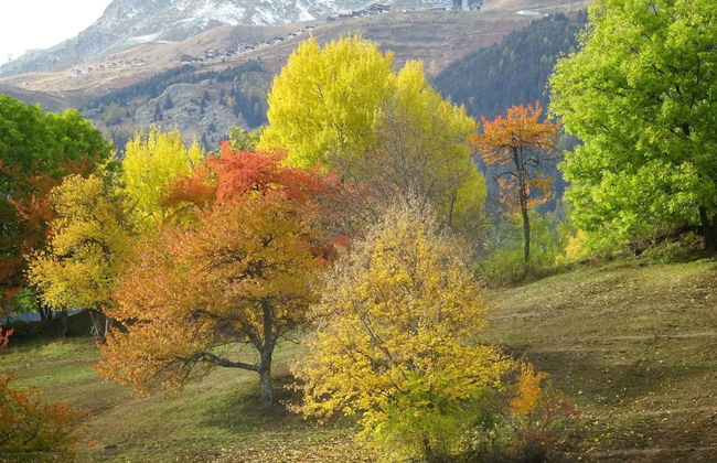 LuxLax 2. OG Süd - Foto 43