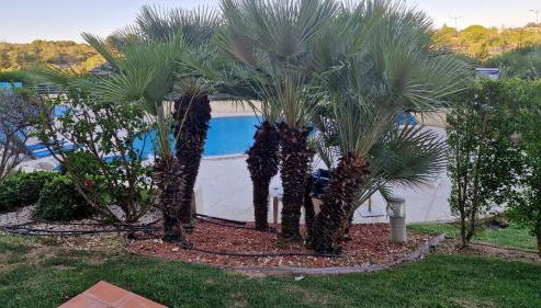 Albufeira Oasis Retreat - Foto 5