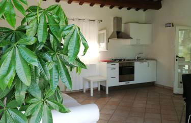 Villa Belvedere degli Ulivi - Foto 76