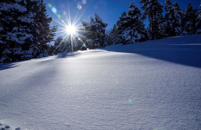 Apartamentos Solineu - Foto 31