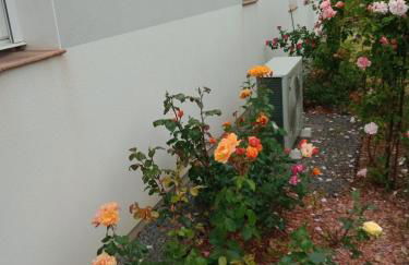 perle rare à énergie positive - Photo 17