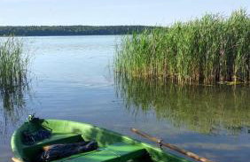 Domki Boszkowo-Dominice Bliźniak 2 apartamenty - Foto 34