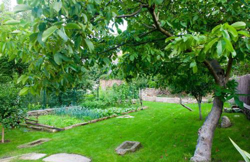 A Fonte das Hortas Residencial - Foto 44