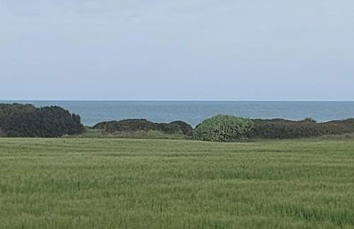 Villa Maria - Foto 62