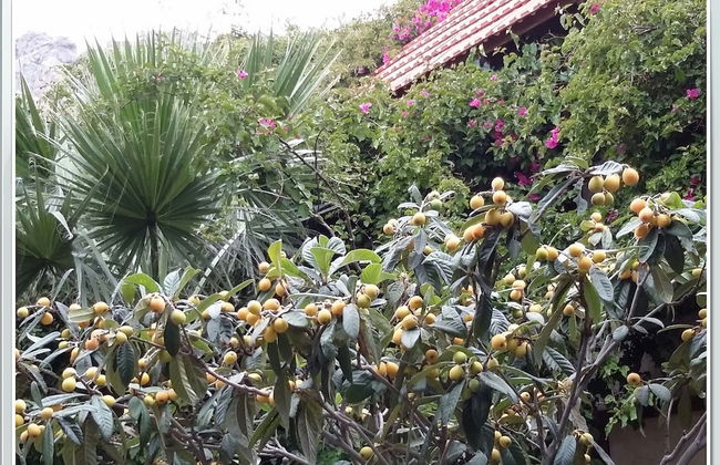 Stunning 2-bedrooms Private Cottage in Palaiochora - Foto 15