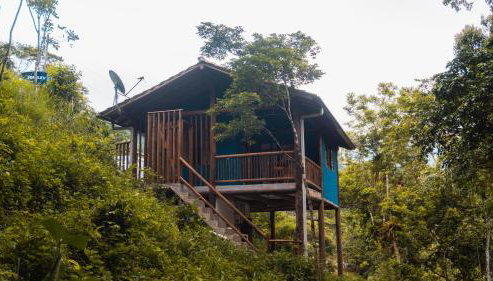 Ecocasa azul - Chalé na mata - Foto 2