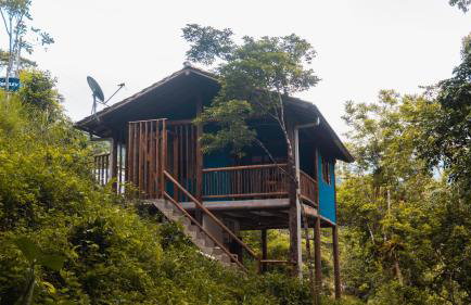 Ecocasa azul - Chalé na mata - Foto 2